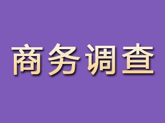 恒山商务调查